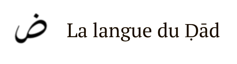 Capture d’écran du 2025-11-22 20-28-12